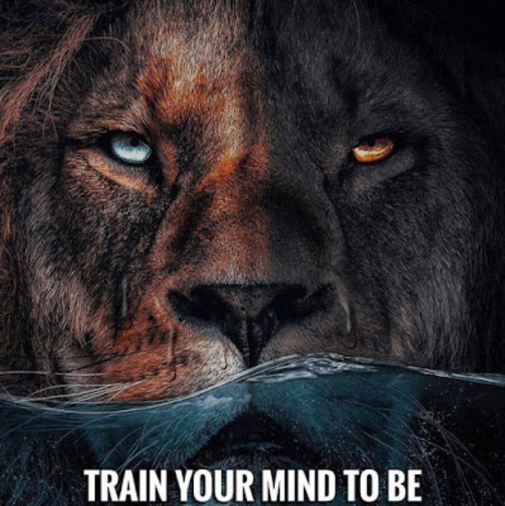 Meet your Posher, Kelly ryan